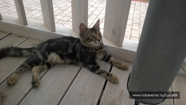 photo 1575450