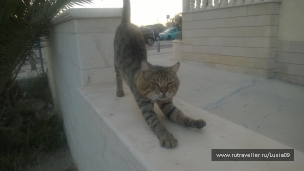 photo 1575453