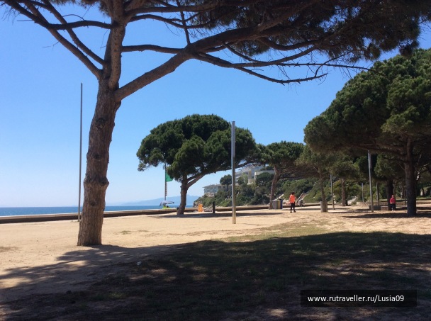 photo 1565523
