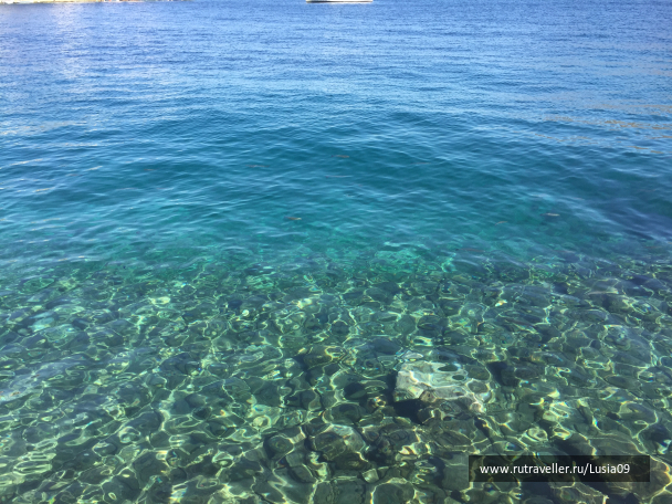 photo 1565768