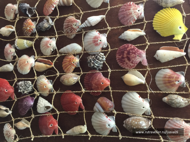 photo 1565776