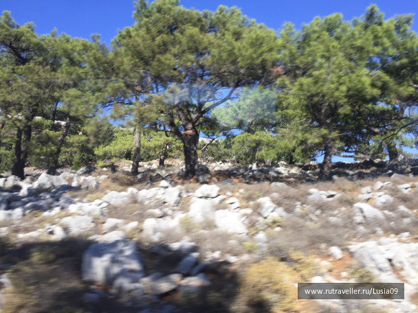 photo 1565802