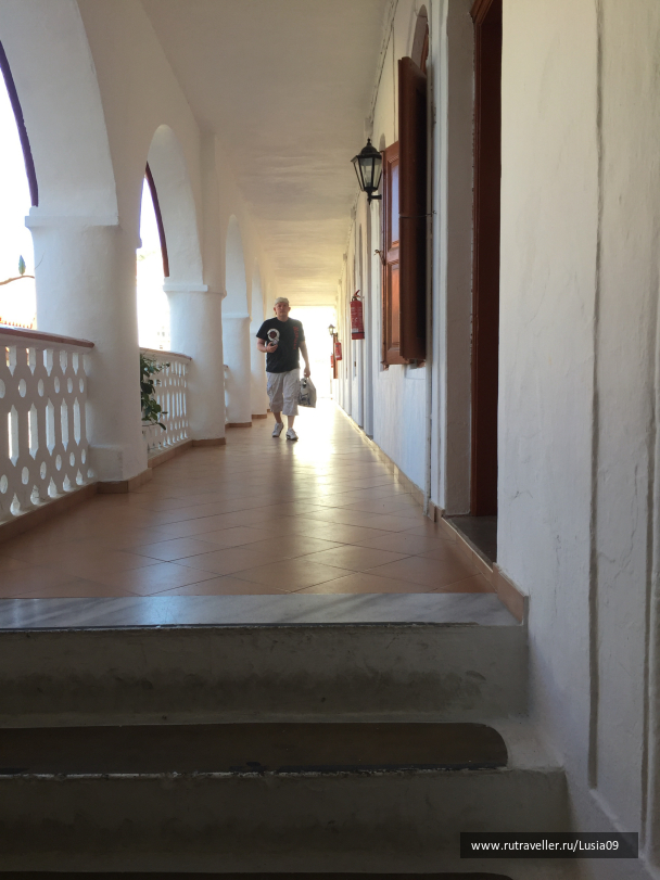 photo 1565791