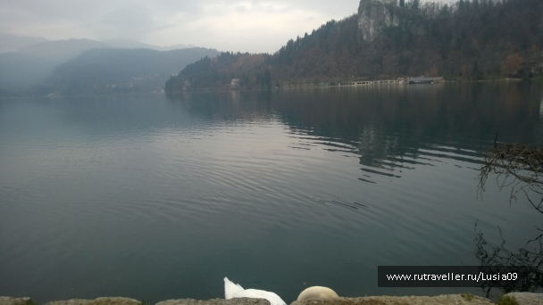 photo 1565835