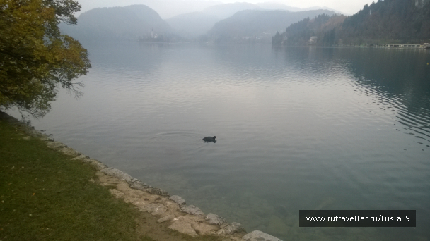 photo 1565836
