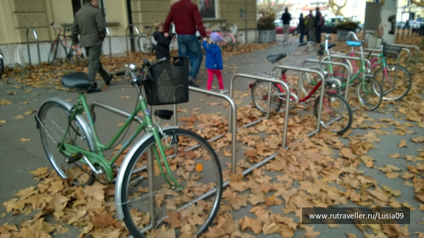 photo 1565842