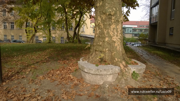 photo 1565843