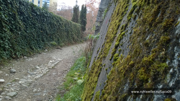 photo 1565845