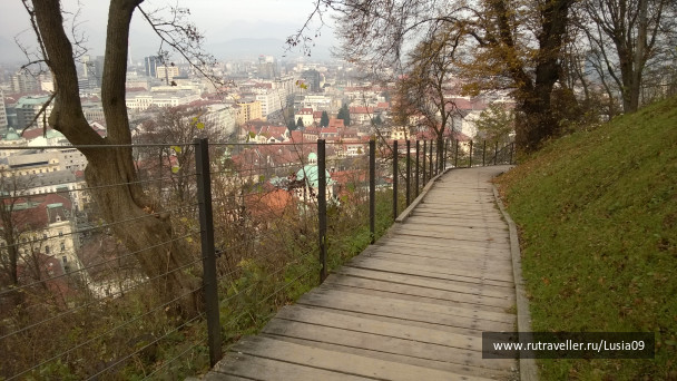 photo 1565847