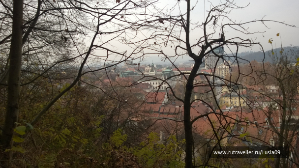 photo 1565848