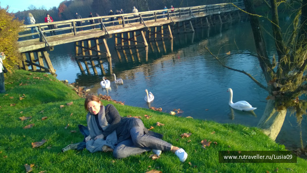 photo 1565853