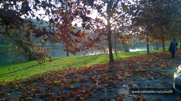 photo 1565854