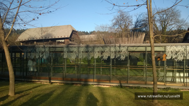 photo 1565856