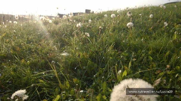 photo 1565860