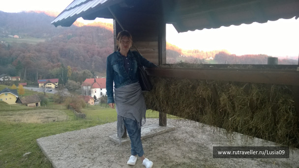 photo 1565864