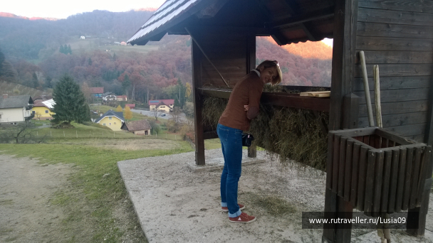 photo 1565865