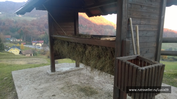 photo 1565866
