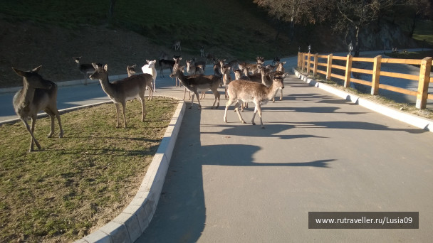 photo 1565872