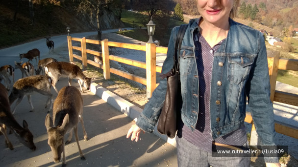 photo 1565873