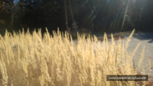 photo 1565878