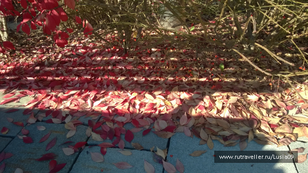 photo 1573411