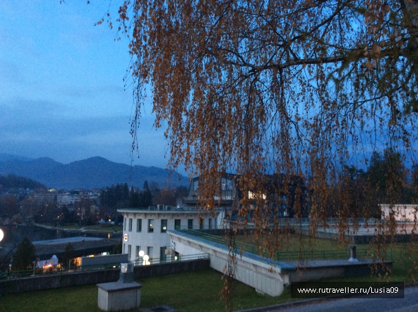photo 1573436