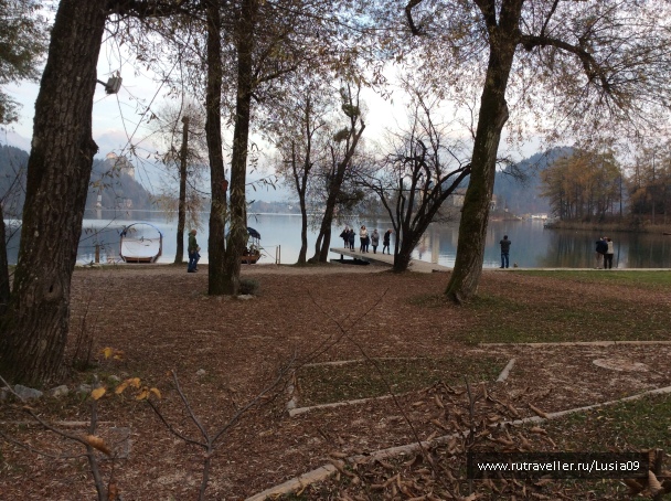 photo 1573437