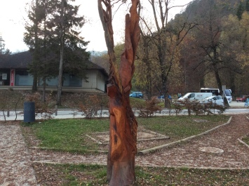 photo 1573439