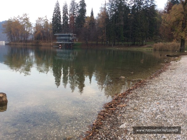 photo 1573445