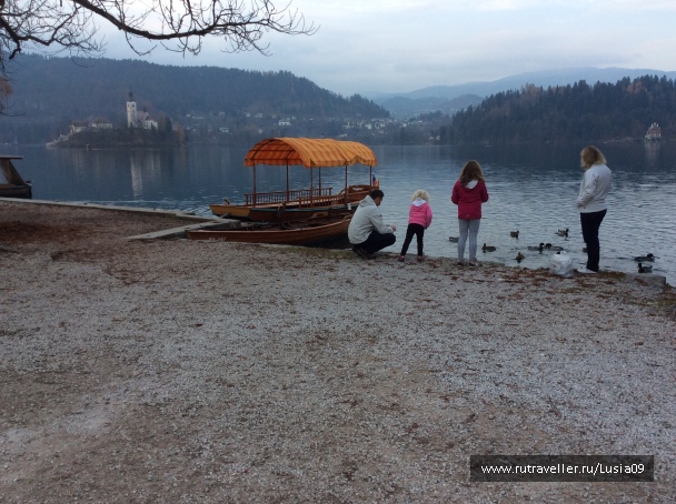 photo 1573446