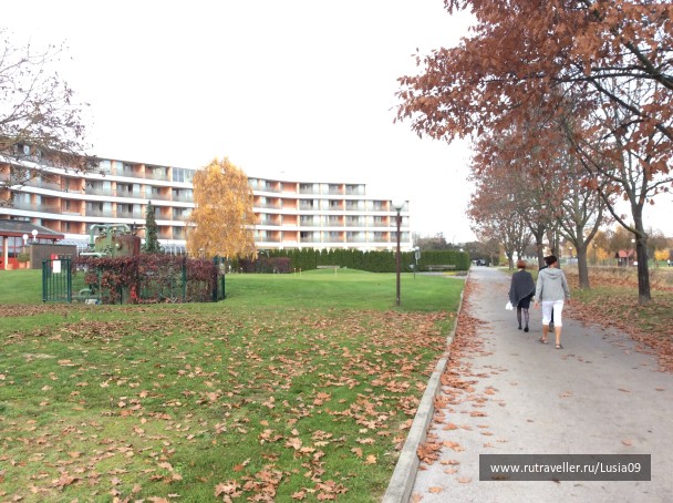 photo 1573470