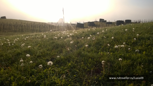 photo 1578901