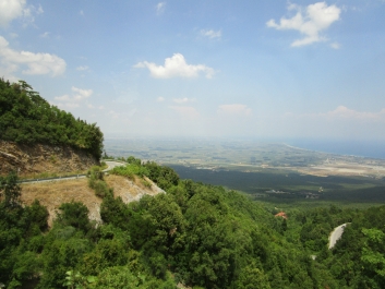 photo 905724