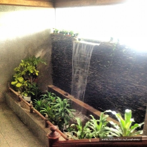 photo 1131733