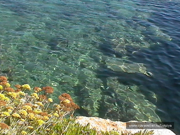 photo 607737