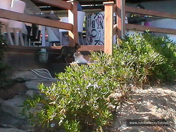 photo 607738