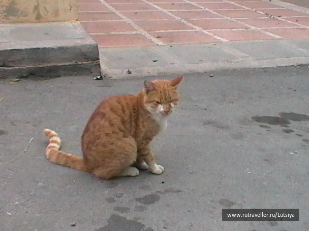 photo 607743