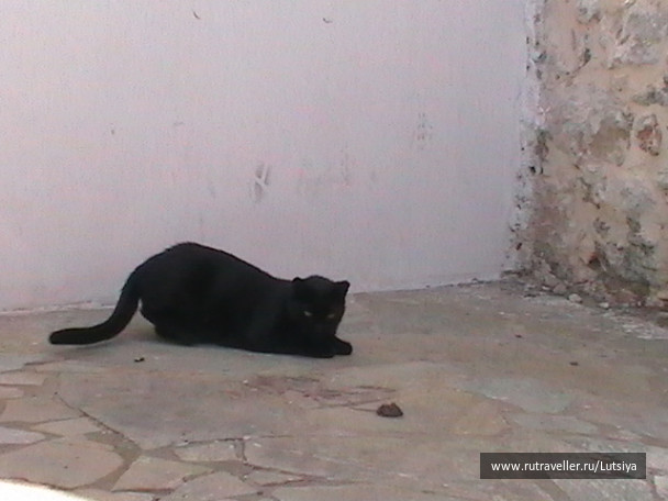 photo 607745