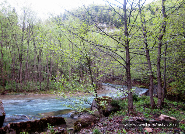 photo 993719