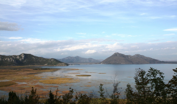 Скадарское озеро