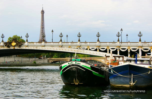 photo 1859417