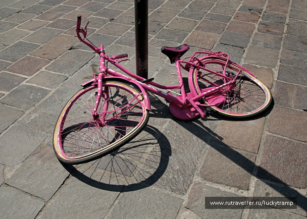 photo 2015403