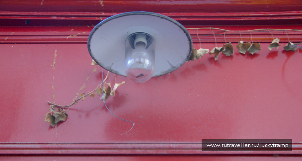 photo 2015413