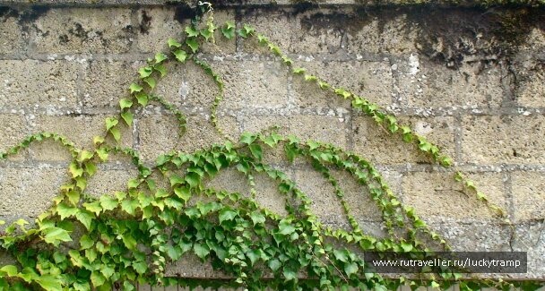 photo 2017345