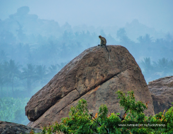 photo 2014543