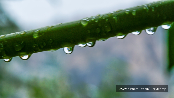 photo 2014551