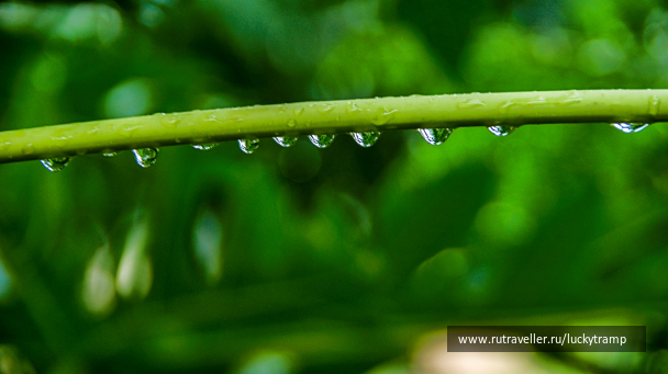 photo 2014553