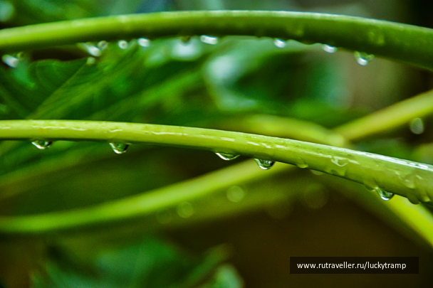 photo 2014554