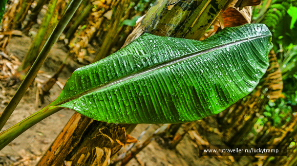 photo 2014555