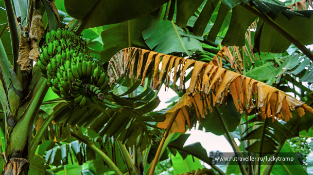 photo 2014557